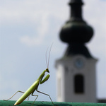 Teraz idem do kostola, ale potom sa teš...