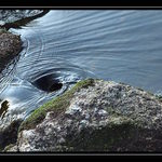 kdesi v Jízerkách...