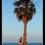 Lucka a palma