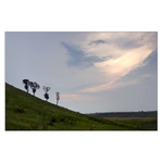 Umírající solitéry