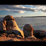 Hříbky v slaném nálevu