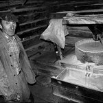 tohle smrdí Banátem II.