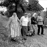 tohle smrdí Banátem IV.