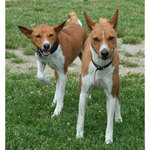 Co jsem zase provedl? :)