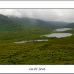 Scottish II.