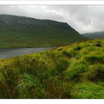 simply Scottish :)