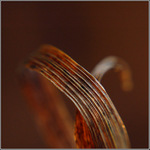 ..život v trávě...