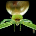 ..největší pozadí..