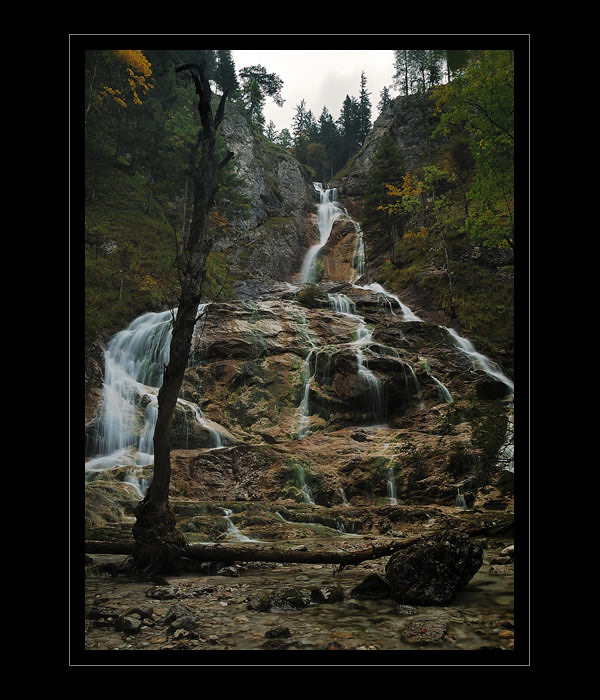 divočinou II