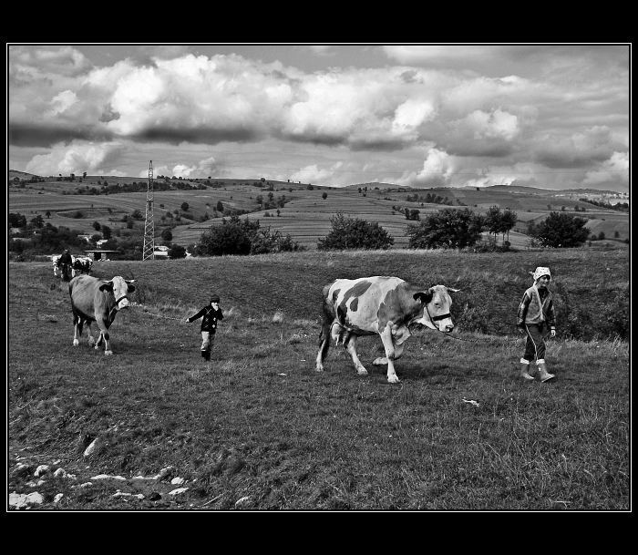 Banát - vyhánění