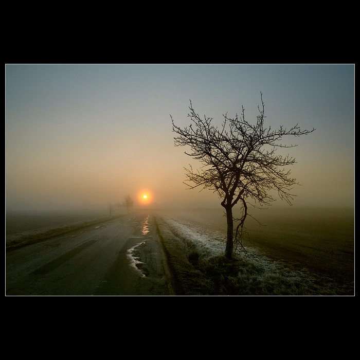 *BRANIŠOVSKÁ MLHAVÁ RÁNA II.*