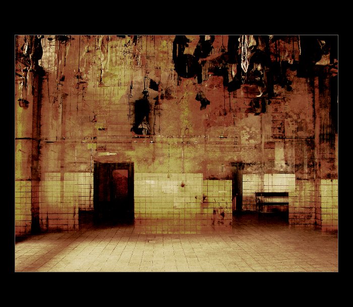 Taky občas máte sny ?