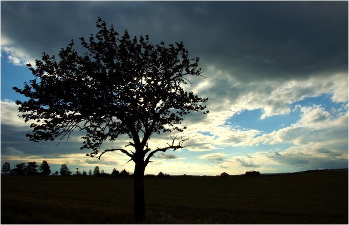 Strom