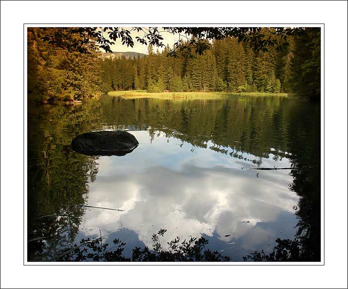 Vrbické pleso