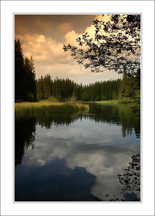 Vrbické pleso III