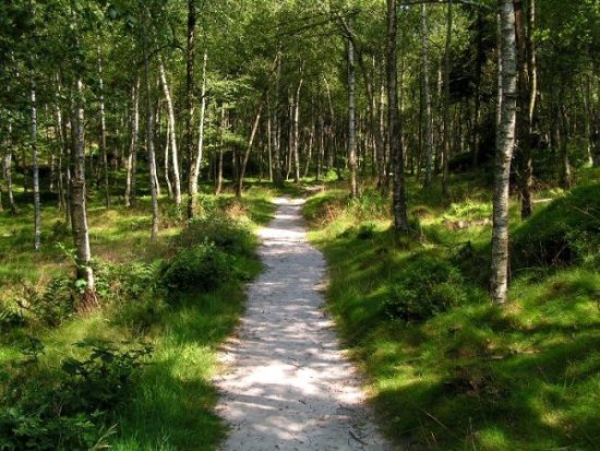 hra stínů