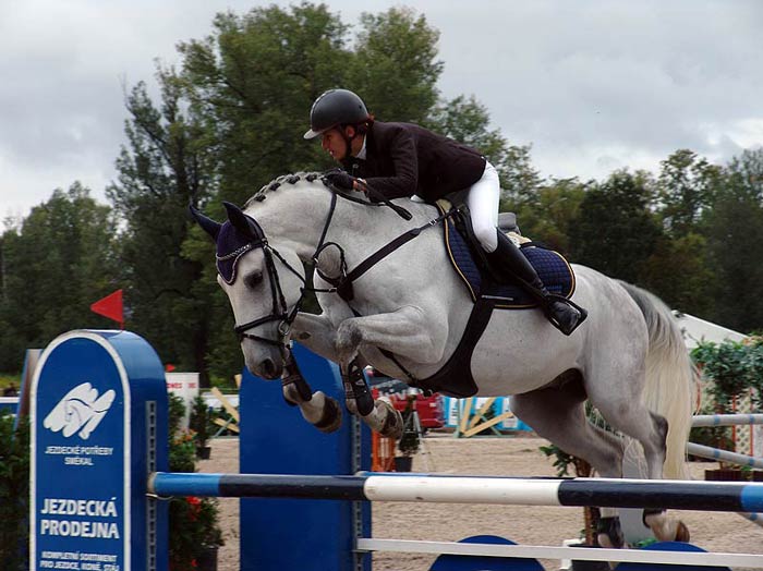 CSIO