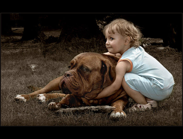 Beauty and the Beast