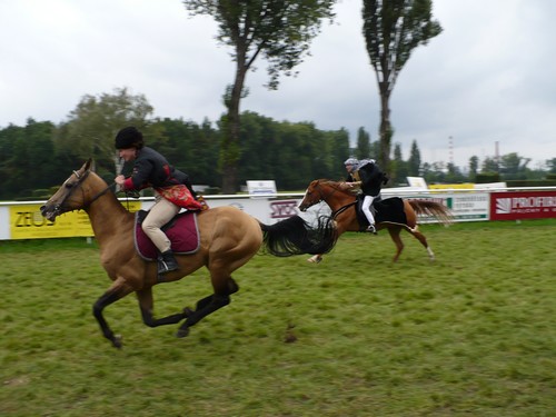 Dostih (Koně v akci 07)