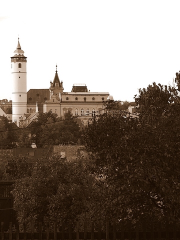 Domažlická radnice s věží
