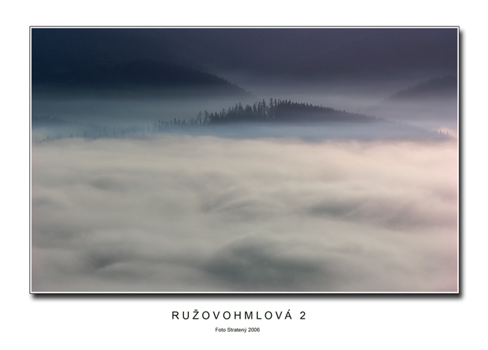 Ružovohmlová 2