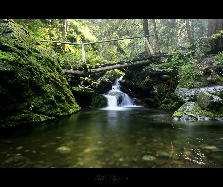 ...Bílá Opava...