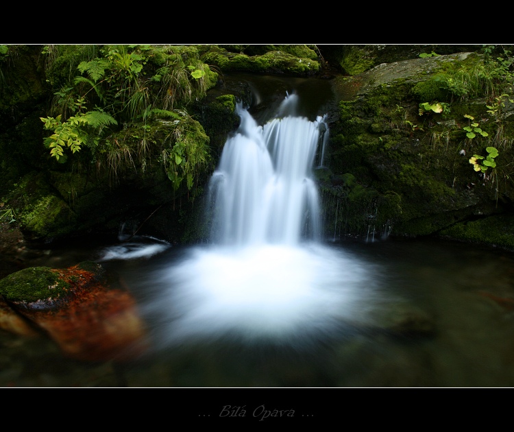 ...Bílá Opava...