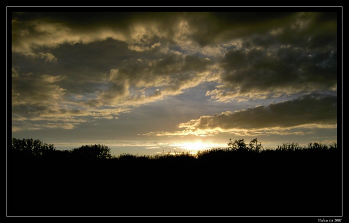 view from InterCity Train