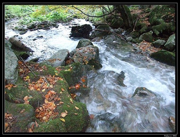 potok od Mojzisovo pramena