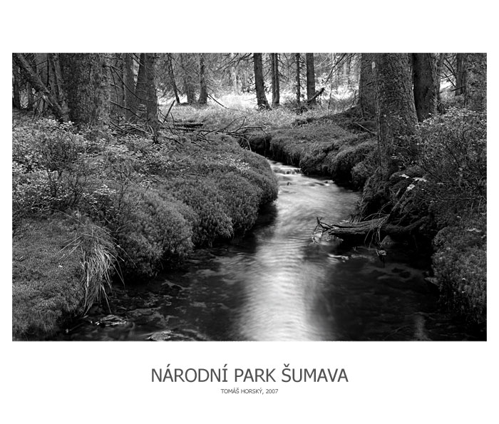 NÁRODNÍ PARK ŠUMAVA