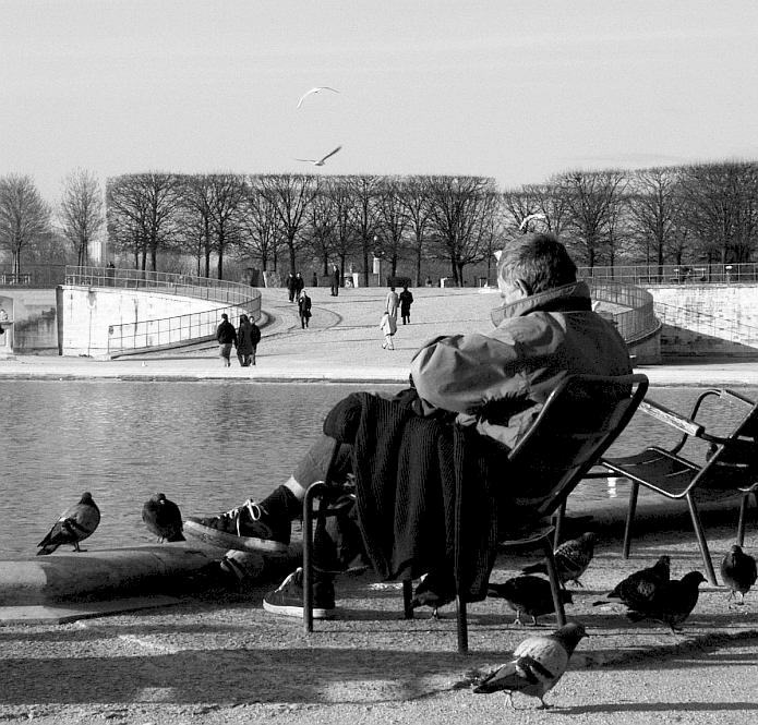 Un ami de la colombe