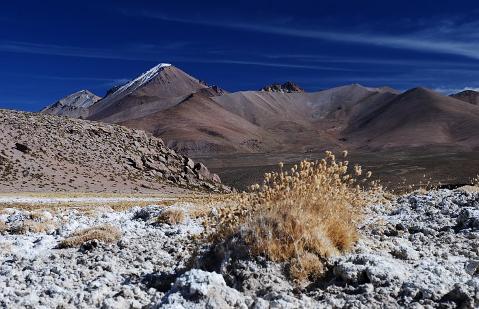 Altiplano