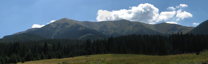 Prašiva
