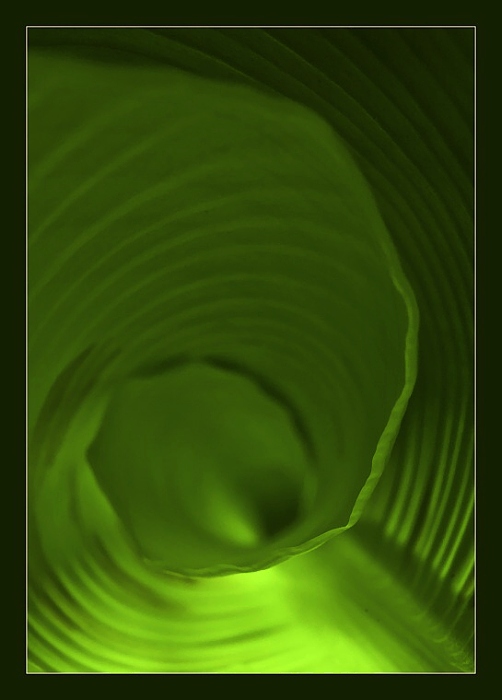 Tobogánem na zelenou