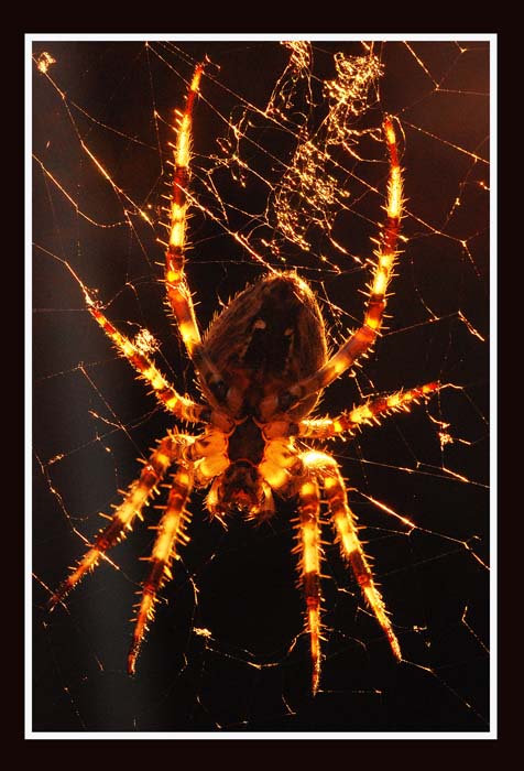 V posledních paprscích