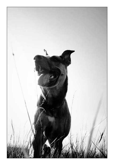 Maggie