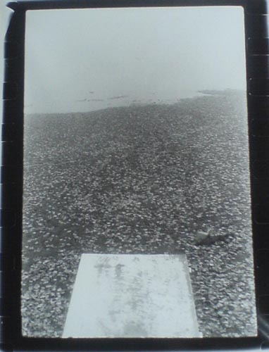 okinawa