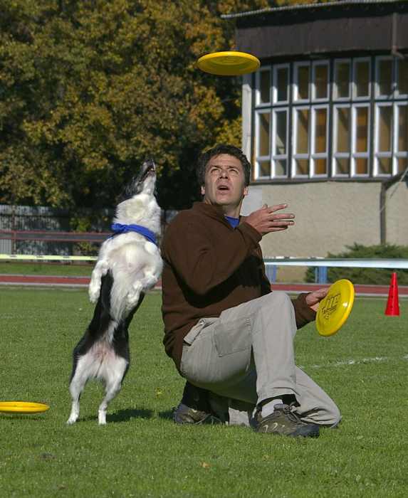 Dogfreesbee