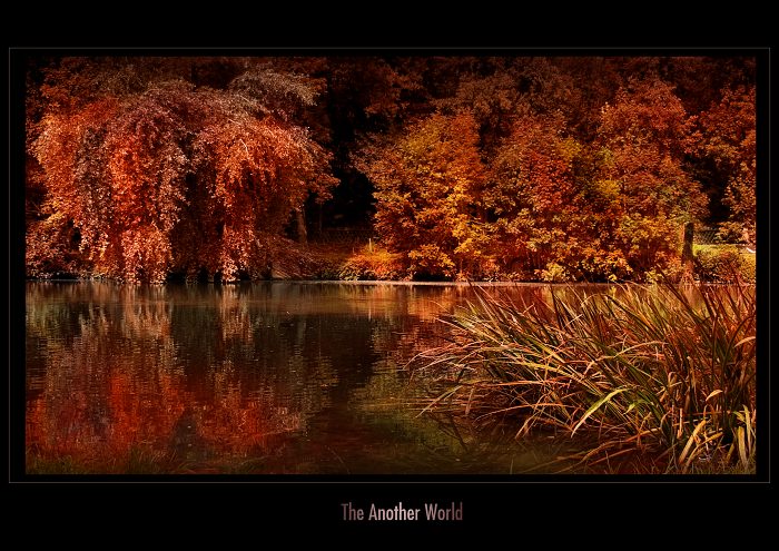 THE ANOTHER WORLD