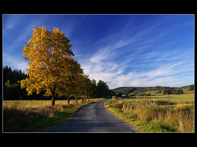 Večery v Českém lese