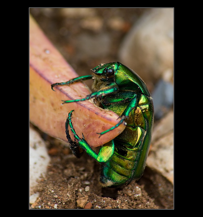 Uff, znova už snad nespadnu!