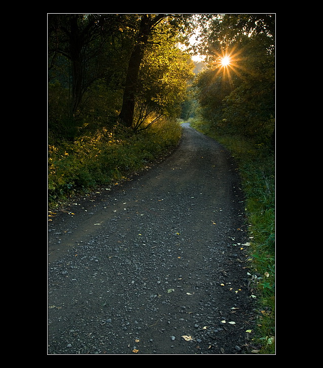 Podzimní cesta za sluncem