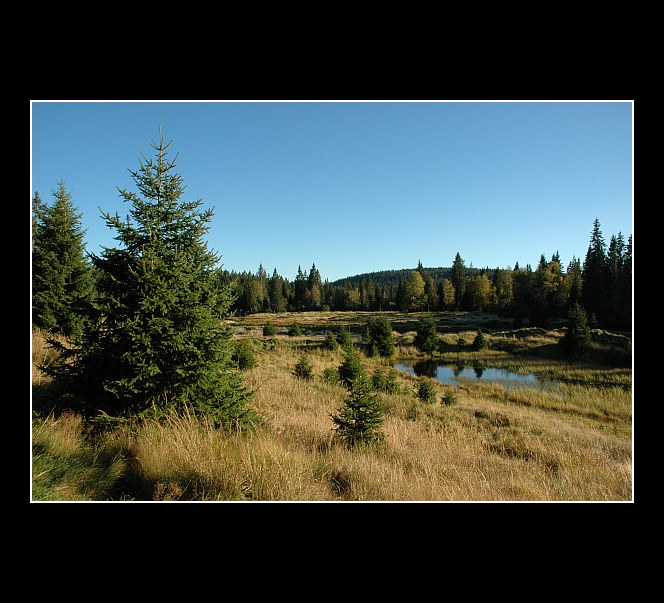 Babí léto na Šumavě