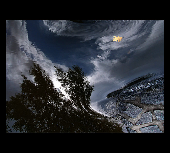 Odplouvající léto