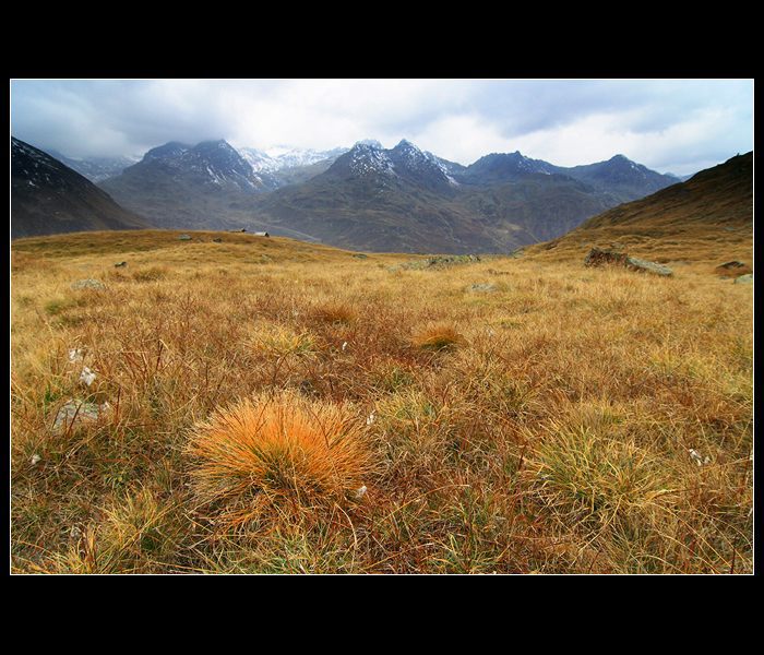 Alpy v pozdním létě 2007 II.