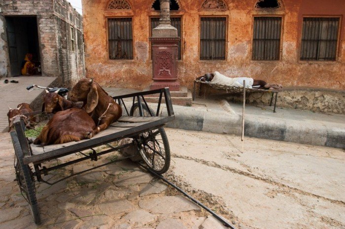 siesta