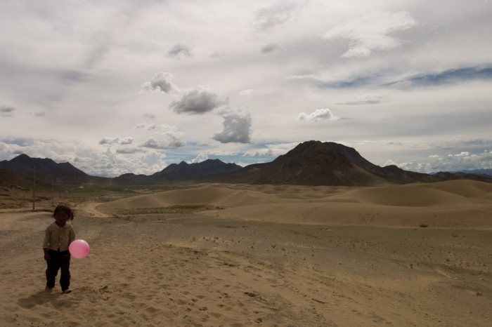 desert rose