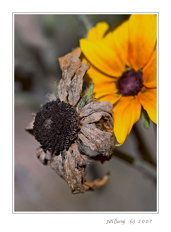 ...taky tak dopadneš  :o)