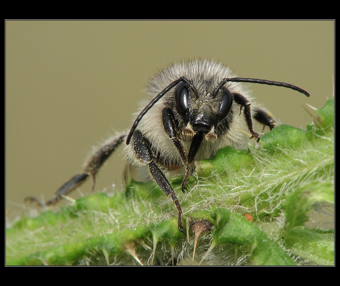 **Společensky unaven  **