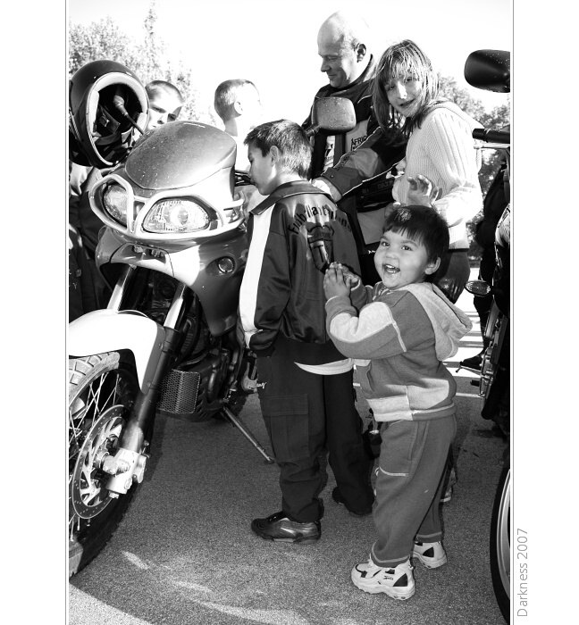 * Čistokrevná radost *